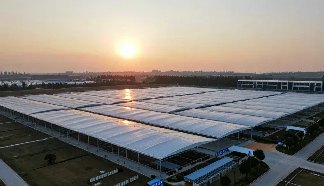 智能开发平台如何推动业务发展趋势